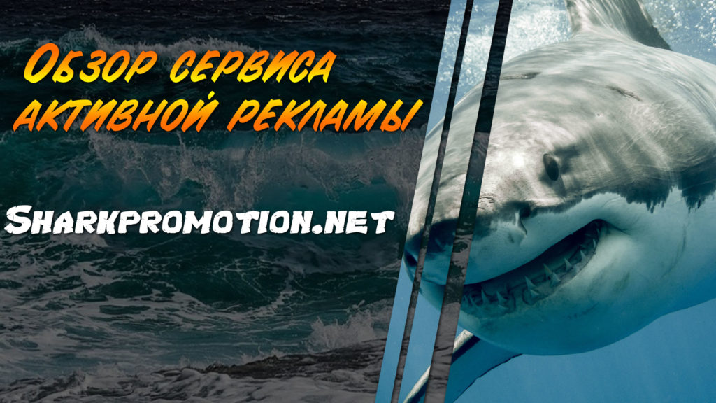 Обзор сервиса активной рекламы Sharkpromotion