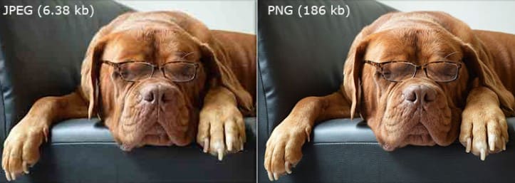различия JPEG и PNG